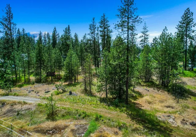 Homes for sale in Medical Lake, WA | Xxx S Chapman Rd, Medical Lake, WA 99025 | MLS# 202614937