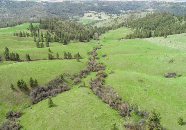 2nd image of Xxx Egypt Loop Rd E, Davenport, WA 99122 | MLS# 202615003