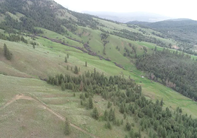 1st image of Xxx Egypt Loop Rd E, Davenport, WA 99122 | MLS# 202615003