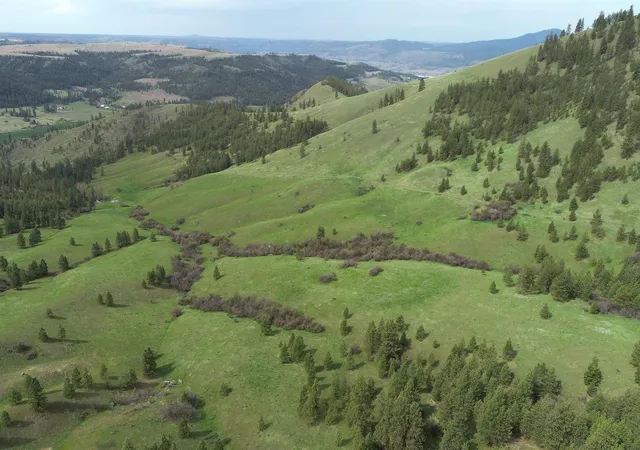 3rd image of Xxx Egypt Loop Rd E, Davenport, WA 99122 | MLS# 202615003
