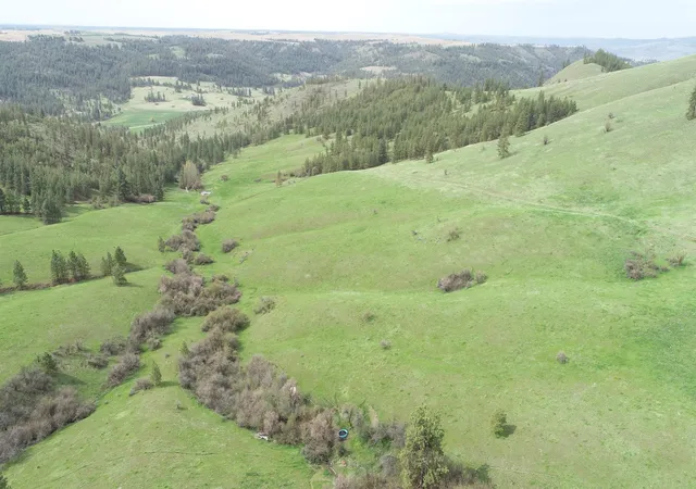 4th image of Xxx Egypt Loop Rd E, Davenport, WA 99122 | MLS# 202615003
