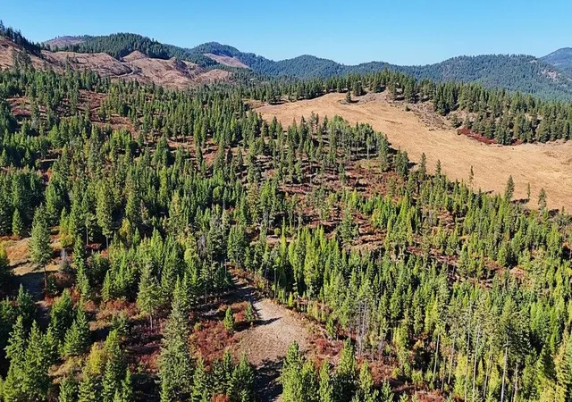 Photo 3 of Land for sale at 25xx Burgess Rd, Addy, WA 99101 | MLS# 202615030 | Listing updated on 2026-08-06