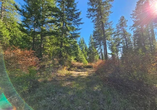 Photo 4 of Land for sale at 25xx Burgess Rd, Addy, WA 99101 | MLS# 202615030 | Listing updated on 2026-08-06