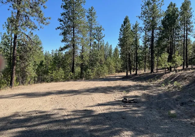 Homes for sale in Davenport, WA | Lot 3 Top Notch Bob White Ln, Davenport, WA 99122 | MLS# 202615042