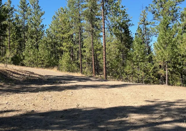 Homes for sale in Davenport, WA | Lot 3 Top Notch Bob White Ln, Davenport, WA 99122 | MLS# 202615042