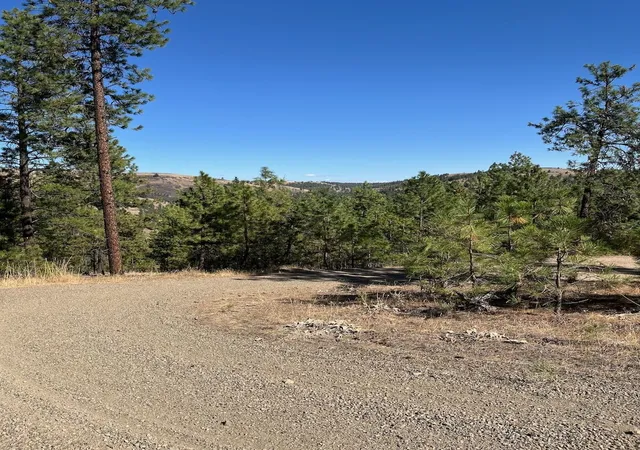 Homes for sale in Davenport, WA | Lot 3 Top Notch Bob White Ln, Davenport, WA 99122 | MLS# 202615042
