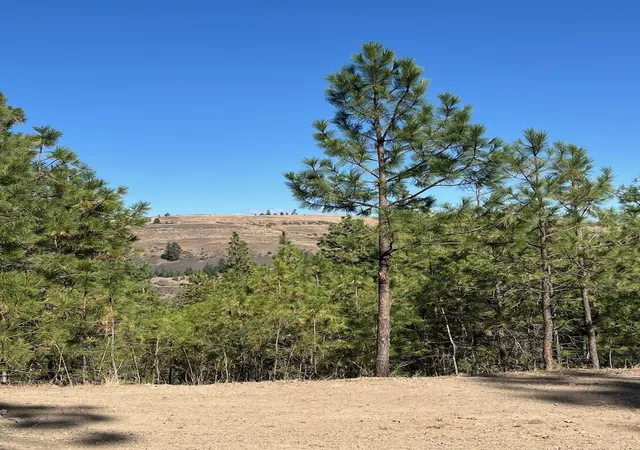 Homes for sale in Davenport, WA | Lot 3 Top Notch Bob White Ln, Davenport, WA 99122 | MLS# 202615042
