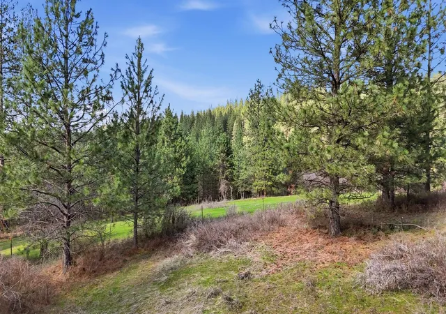 Homes for sale in Mead, WA | 151xx E Cooper Rd, Mead, WA 99021 | MLS# 202615128