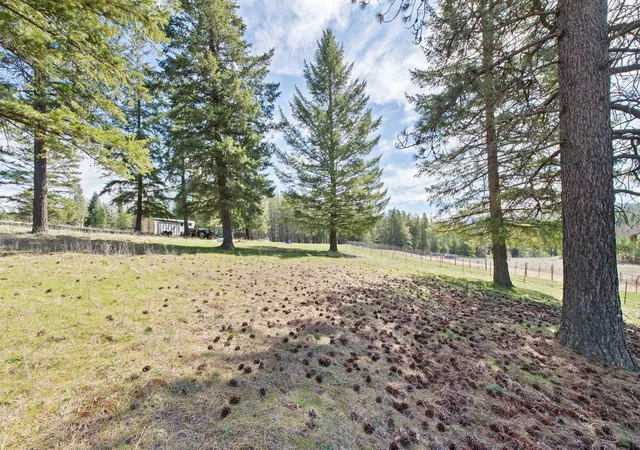 5th image of 7333 Spring Valley Rd, Newport, WA 99156 | MLS# 202615132