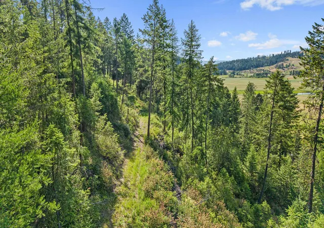 19th image of 585 White Meadow Wy, Colville, WA 99114 | MLS# 202615186