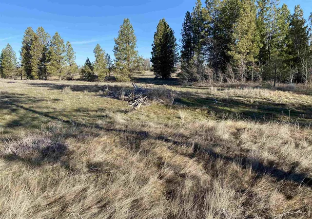 16th image of 0 Lorna Ln, Cheney, WA 99004 | MLS# 202615190