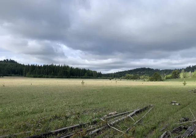 Photo 3 of Sale Pending at 3xx Beaver Valley Rd, Newport, WA | MLS# 202615195 | Listing updated on 2026-07-20
