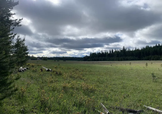Photo 3 of Sale Pending at 3xx Beaver Valley Rd, Newport, WA | MLS# 202615195 | Listing updated on 2026-07-20
