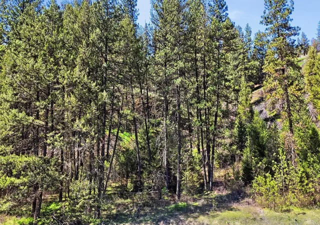 Homes for sale in Davenport, WA | Nka  Hawk Creek Ranches, Davenport, WA 99122 | MLS# 202615205