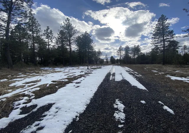 Photo 17 of Land for sale at Tbd Lorna Ln, Cheney, WA 99004 | MLS# 202615208 | Listing updated on 2026-09-04