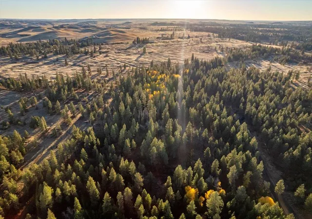 Photo 3 of Land for sale at Tbd Lorna Ln, Cheney, WA | MLS# 202615208 | Listing updated on 2026-09-04
