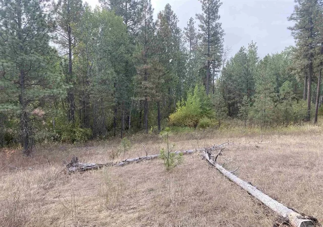 11th image of Tbd Lorna Ln, Cheney, WA 99004 | MLS# 202615228