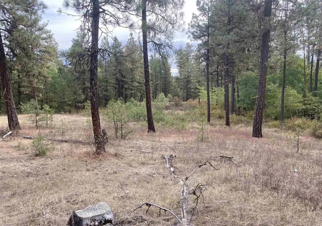 2nd image of Tbd Lorna Ln, Cheney, WA 99004 | MLS# 202615228
