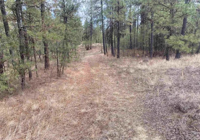 3rd image of Tbd Lorna Ln, Cheney, WA 99004 | MLS# 202615228