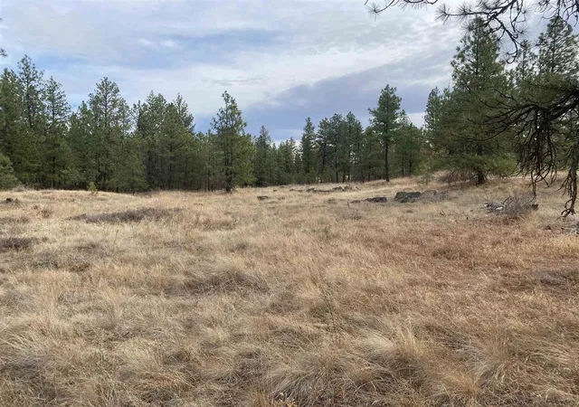 4th image of Tbd Lorna Ln, Cheney, WA 99004 | MLS# 202615228