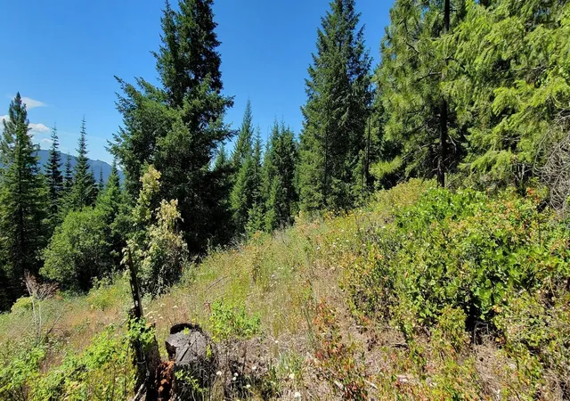 Photo 3 of Land for sale at Nkn Cosmos Lots 23 24 27 Ln, Newport, WA 99156 | MLS# 202615255 | Listing updated on 2026-08-28
