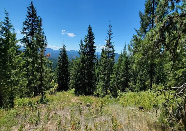 Photo 3 of Land for sale at Nkn Cosmos Lots 23 24 27 Ln, Newport, WA 99156 | MLS# 202615255 | Listing updated on 2026-08-28