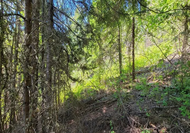 42nd image of Nkn Cosmos   Lots 23, 24, 27 Ln, Newport, WA 99156 | MLS# 202615255