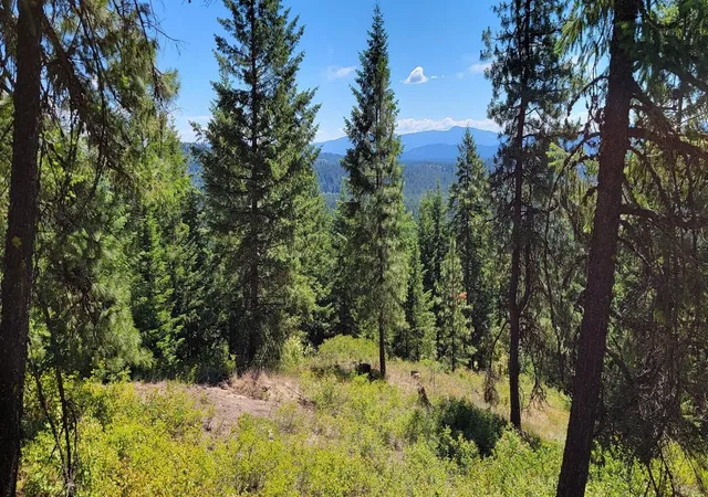Photo 4 of Land for sale at Nkn Cosmos Lots 23 24 27 Ln, Newport, WA 99156 | MLS# 202615255 | Listing updated on 2026-08-28