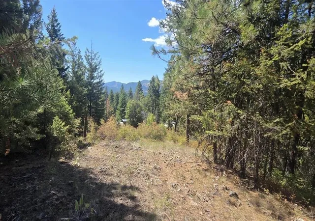 35th image of 1080 G Middle Basin Rd, Colville, WA 99114 | MLS# 202615292