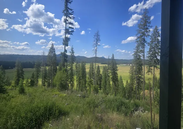 Homes for sale in Springdale, WA | 4962 Lyons Hill Rd, Springdale, WA 99173 | MLS# 202615414