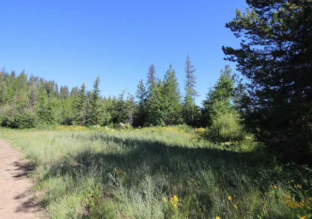 Photo 3 of Land for sale at Xxx Buck Crk Rd, Newport, WA 99156 | MLS# 202615416 | Listing updated on 2026-07-31