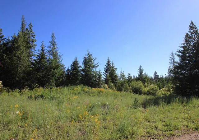 Photo 3 of Land for sale at Xxx Buck Crk Rd, Newport, WA 99156 | MLS# 202615416 | Listing updated on 2026-07-31