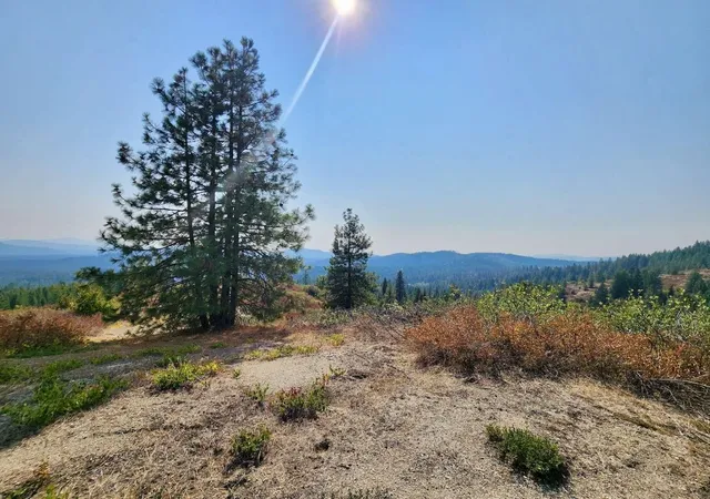 Photo 3 of Land for sale at 1700 Hershaw Rd, Newport, WA 99156 | MLS# 202615460 | Listing updated on 2026-08-31