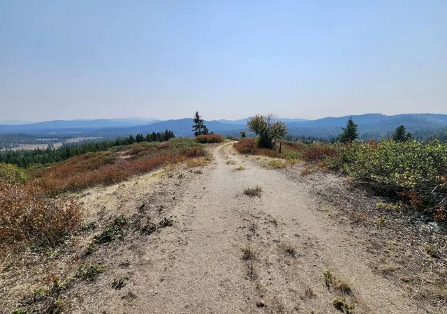 Photo 3 of Land for sale at 1700 Hershaw Rd, Newport, WA 99156 | MLS# 202615460 | Listing updated on 2026-08-31