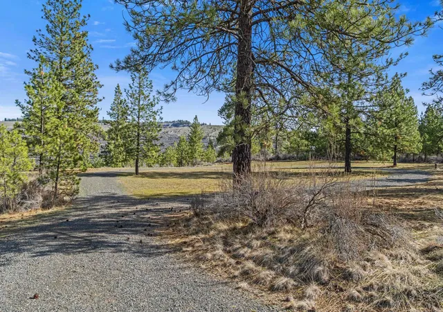Photo 3 of Land for sale at 38800 E Sand Flats Dr, Davenport, WA 99122 | MLS# 202615461 | Listing updated on 2026-04-22