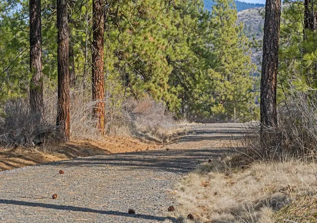 Photo 3 of Land for sale at 38800 E Sand Flats Dr, Davenport, WA 99122 | MLS# 202615461 | Listing updated on 2026-04-22