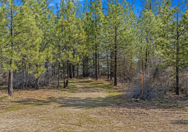 Photo 4 of Land for sale at 38800 E Sand Flats Dr, Davenport, WA 99122 | MLS# 202615461 | Listing updated on 2026-04-22