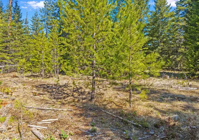 30th image of 555 Happy Trails Ln, Newport, WA 99156 | MLS# 202615620