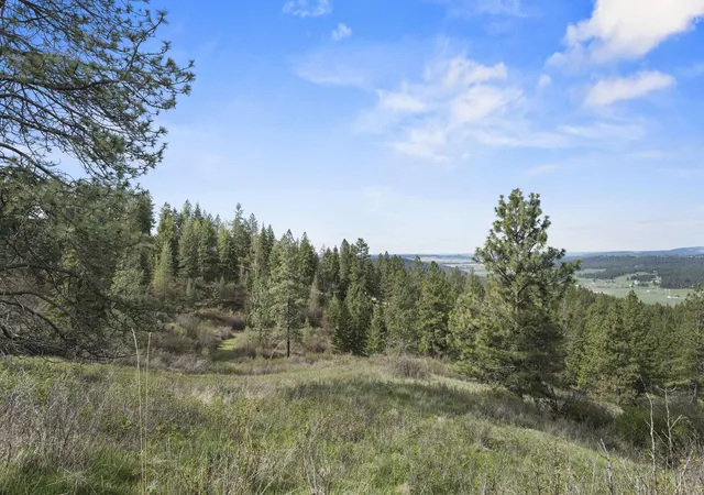 image of N Rockspring Ln, Mead, WA 99021 | MLS# 202615687