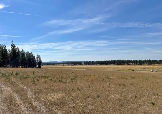 Photo 2 of Land for sale at Tbd N Corkscrew Cyn Rd, Tumtum, WA | MLS# 202615753 | Listing updated on 2026-07-22