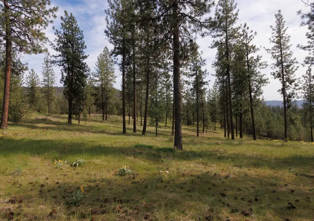 Photo 3 of Land for sale at Tbd N Corkscrew Cyn Rd, Tumtum, WA | MLS# 202615753 | Listing updated on 2026-07-22