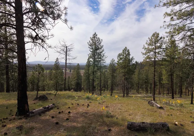 Photo 3 of Land for sale at Tbd N Corkscrew Cyn Rd, Tumtum, WA | MLS# 202615753 | Listing updated on 2026-07-22
