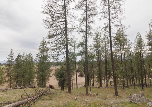 Photo 4 of Land for sale at Tbd N Corkscrew Cyn Rd, Tumtum, WA | MLS# 202615753 | Listing updated on 2026-07-22