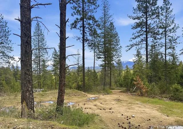 3rd image of 8300 E Lodge Pole Ln Ln, Chattaroy, WA 99003 | MLS# 202615776