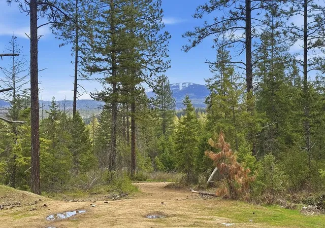 4th image of 8300 E Lodge Pole Ln Ln, Chattaroy, WA 99003 | MLS# 202615776