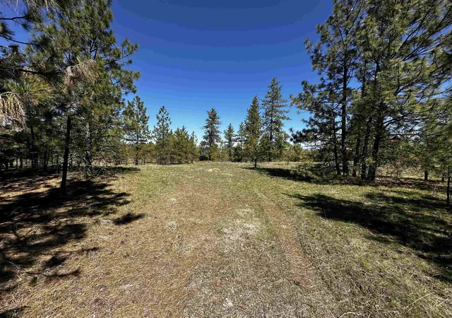 Homes for sale in Davenport, WA | 34820 Partridge Ln N Ln, Davenport, WA 99122 | MLS# 202615843