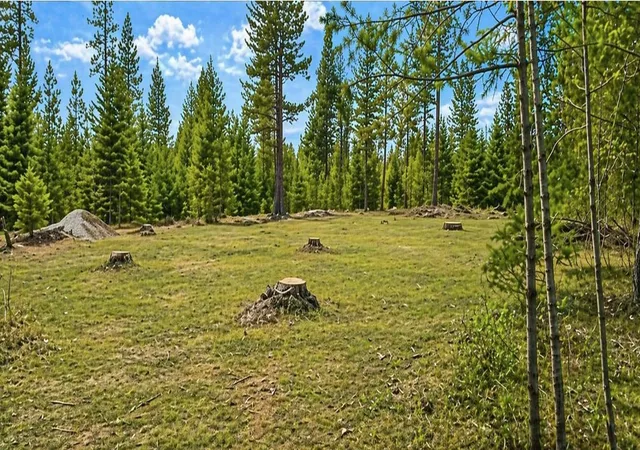 Homes for sale in Springdale, WA | 6833 Drum Rd, Springdale, WA 99173 | MLS# 202615905