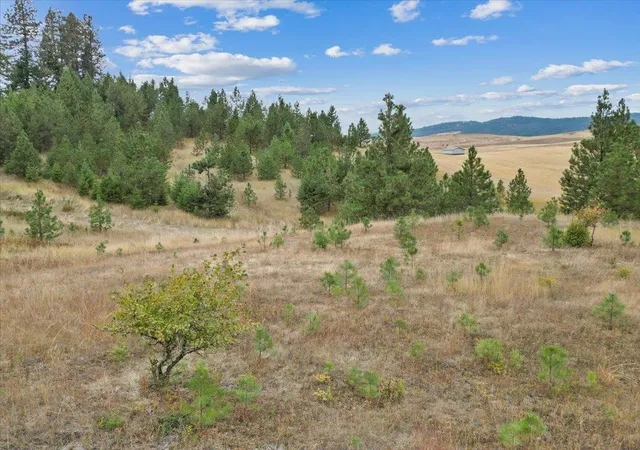 Homes for sale in Rockford, WA | 000 E Horton Rd, Rockford, WA 99030 | MLS# 202615920