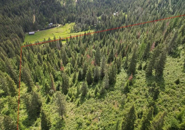 Homes for sale in Mead, WA | Nna E Bill Gulch Rd, Mead, WA 99021 | MLS# 202616169
