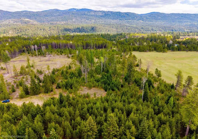 Photo 3 of Land for sale at Nkn Evergreen Rd, Ione, WA 99139 | MLS# 202616171 | Listing updated on 2026-08-21